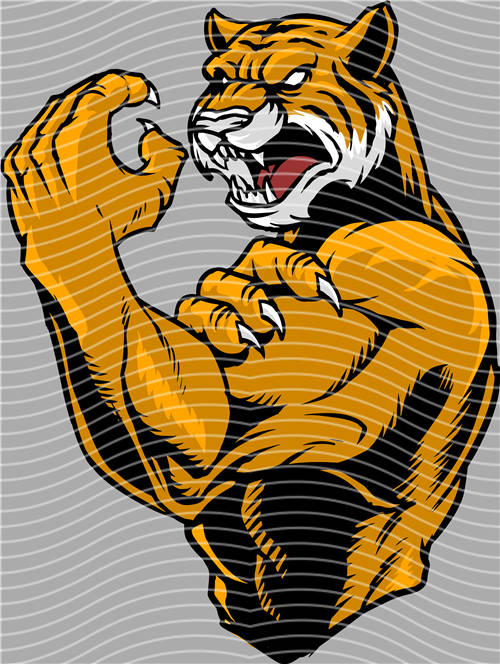 Street design-JT 4641